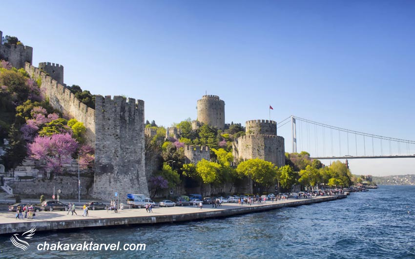 جشنواره گل لاله استانبول بهترین و خوشمزه ترین غذاهای ترکیه
