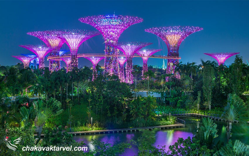 باغ های سنگاپور