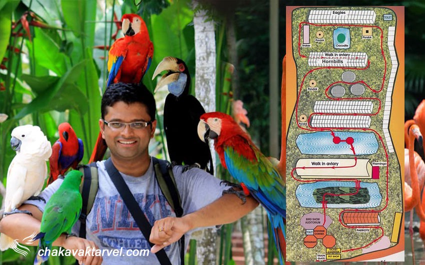 پارک پرندگان پنانگ و نقشه بازدید و راهنمای باغ پرندگان پنانگ مالزی