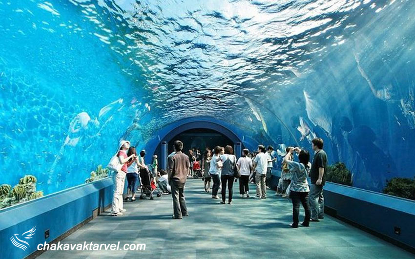 اولین آکواریوم مدرن تایلند با نام دنیای زیر آب | Underwater World Pattaya