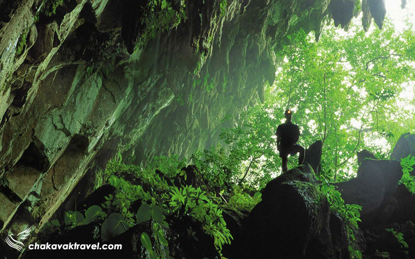 آب و هوای ایالت ساراواک - غار در دل جنگل در پارک ملی ساراواک مالزی