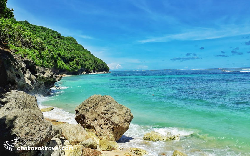 نمایی از گوه و جنگل و اقیانوس ساحل کاسه سبز بالی