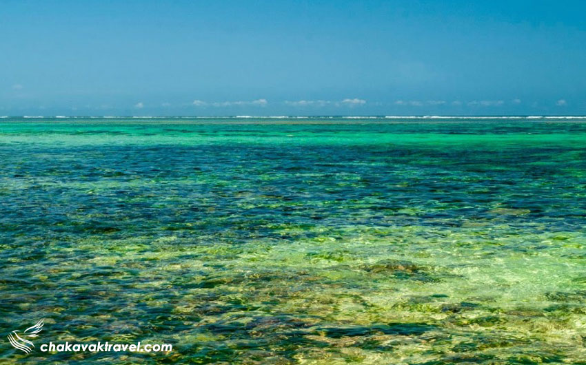 اقیانوس و آب فیروزه ای رنگ آشنایی بیشتر با ساحل گرین بول Green Bowl بالی