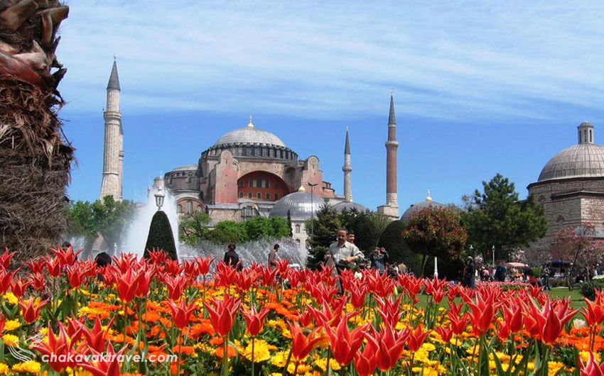 از مزایای سفر به ترکیه در فصل بهار بازدید از گلهای لاله استانبول در فصل بهار در ترکیه است